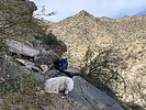 photo thumbnail #3