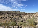 photo thumbnail #3