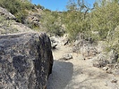 photo thumbnail #4