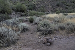 photo thumbnail #3