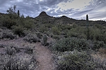 photo thumbnail #4