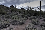 photo thumbnail #5