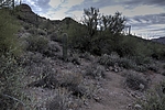 photo thumbnail #6