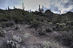 photo thumbnail #7