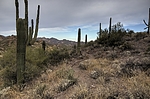 photo thumbnail #8