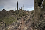photo thumbnail #9