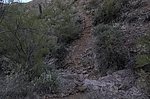photo thumbnail #12