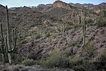 photo thumbnail #14