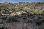 photo thumbnail #15