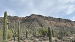 photo thumbnail #15
