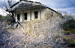 photo thumbnail #11