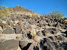 photo thumbnail #7