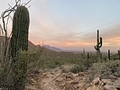 photo thumbnail #1