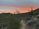 photo thumbnail #2