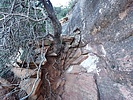 2021-11-26 :2: Capitol Butte Southwest Ridge :: DixieFlyer