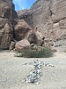 photo thumbnail #15