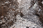 photo thumbnail #14
