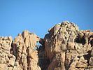 photo thumbnail #10