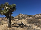 photo thumbnail #3