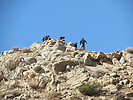 photo thumbnail #13