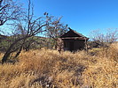 photo thumbnail #7