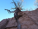 photo thumbnail #4