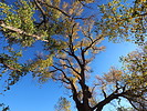 photo thumbnail #11