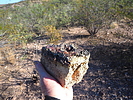 photo thumbnail #14