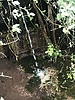 2021-11-23 :2: Whiskey West - Red Tanks Loop :: hikerdw