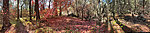 photo thumbnail #3