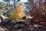 photo thumbnail #4