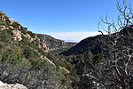 photo thumbnail #9