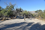 photo thumbnail #2