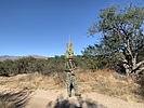 photo thumbnail #4
