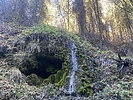recent photo