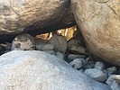 photo thumbnail #13