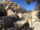 photo thumbnail #5