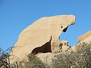 photo thumbnail #2
