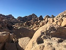 photo thumbnail #1