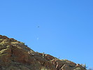 photo thumbnail #11