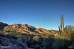 photo thumbnail #3