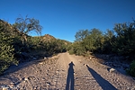 photo thumbnail #4