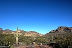 photo thumbnail #8