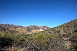 photo thumbnail #12