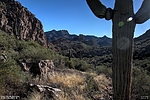 photo thumbnail #13