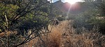 photo thumbnail #12