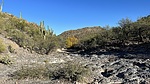 photo thumbnail #13