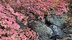 photo thumbnail #15