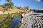 photo thumbnail #2
