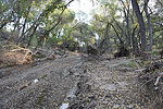 photo thumbnail #11